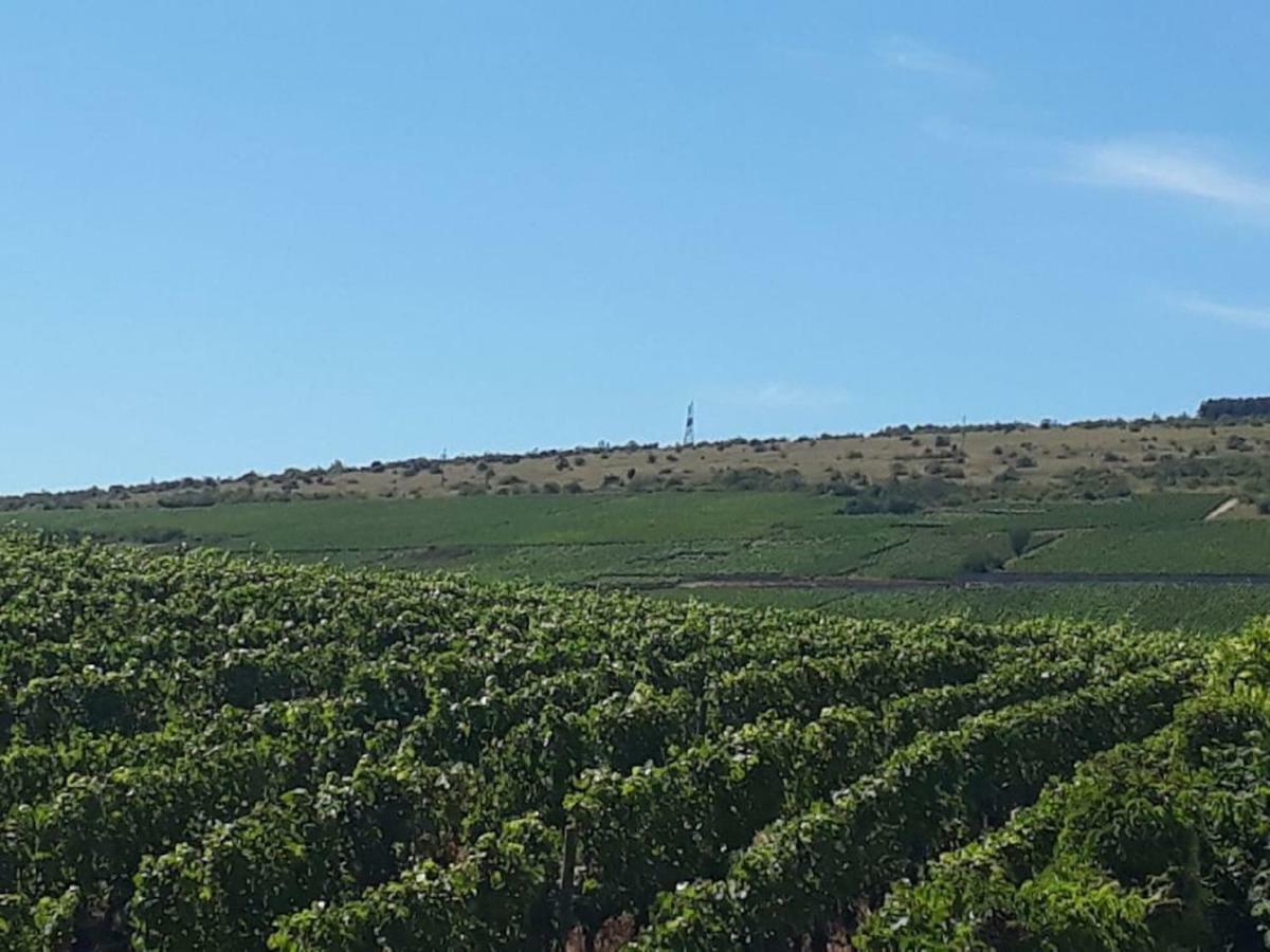 La Layotte Villa Vosne-Romanée Exteriör bild